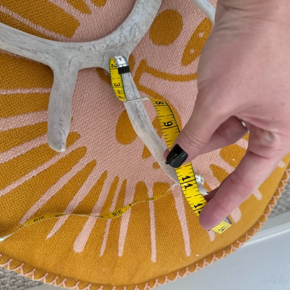 Small Decorative Antler - Picture 3 of 7